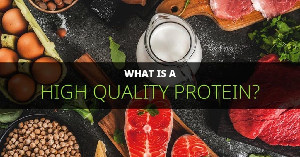 What is a High Quality Protein?